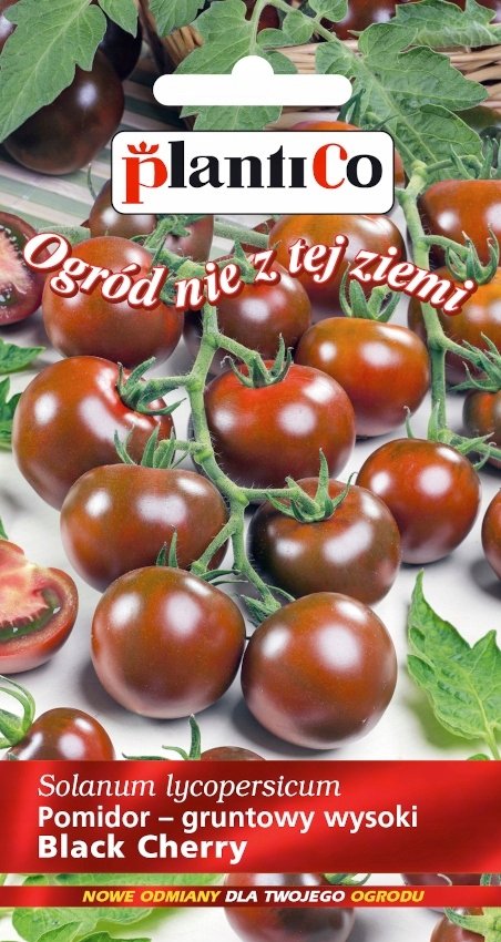 NASIONA Pomidor Koktajlowy Black Cherry 0,2g PLANTICO Do Sałatek 405639