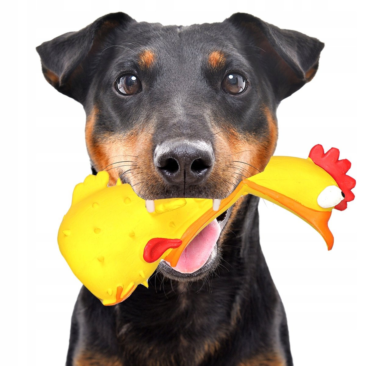 Lupipets Dog Screaming Chicken - zabawka piszcząca 18 cm