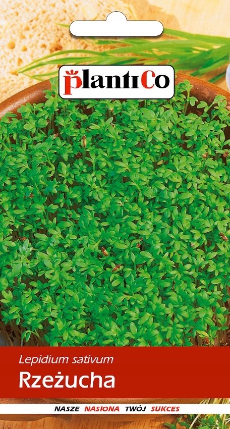 NASIONA Rzeżucha Ogrodowa 10g PLANTICO 408708