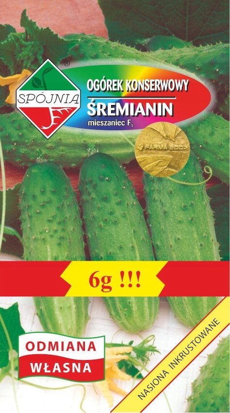 NASIONA Ogórek Gruntowy Śremianin Mieszaniec 6g SPÓJNIA 400328