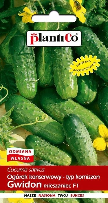 NASIONA Ogórek Gruntowy Gwidon Konserwowy Do Kwaszenia 5g PLANTICO 401150