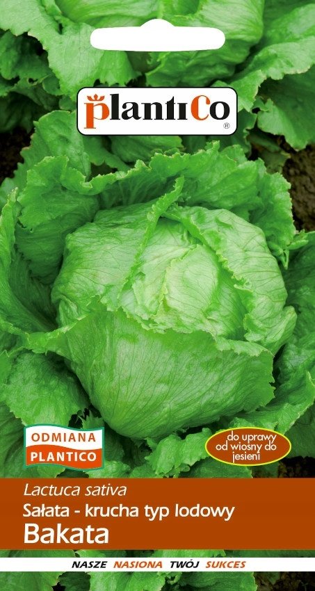 NASIONA Sałata Lodowa Głowiasta Krucha Bakata 1g PLANTICO 404427
