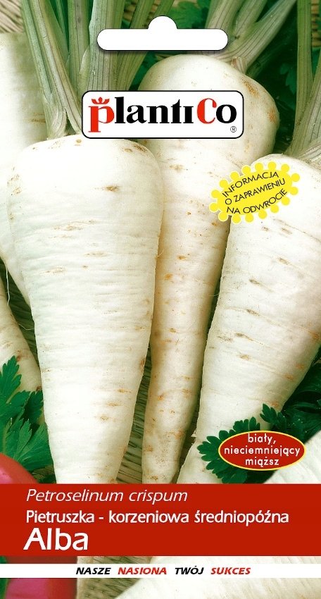 NASIONA Pietruszka Korzeniowa Alba 5g PLANTICO 403734