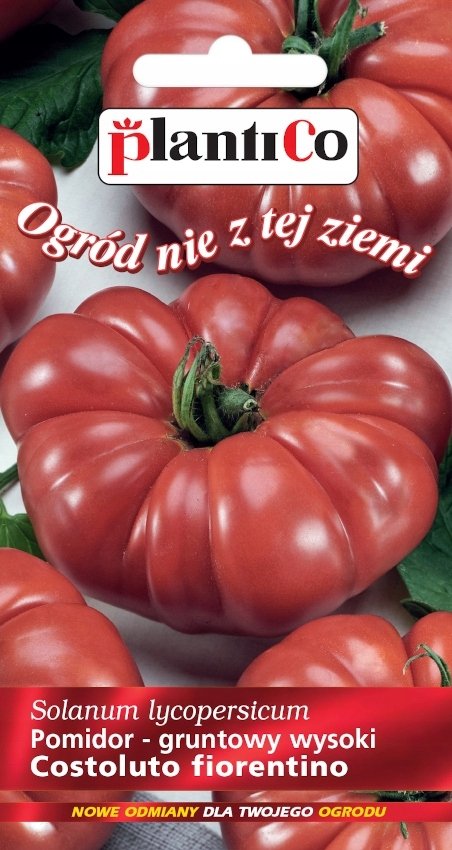 NASIONA Pomidor Włoski Gruntowy Costoluto Fiorentino 0,2g PLANTICO 405295