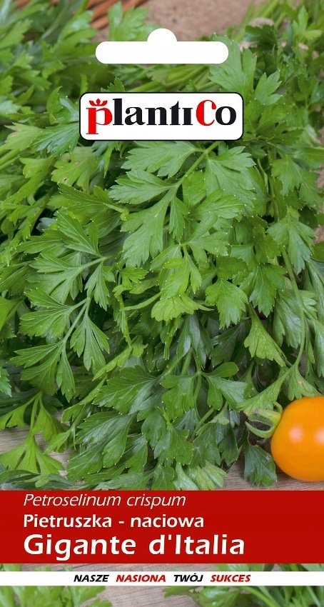 NASIONA Pietruszka Liściowa Naciowa Gigante d`Italia 5g PLANTICO 403888