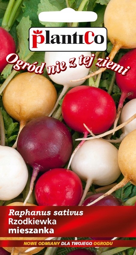 NASIONA Rzodkiewka Mieszanka Odmian Kulistych Mix 5g PLANTICO 406339