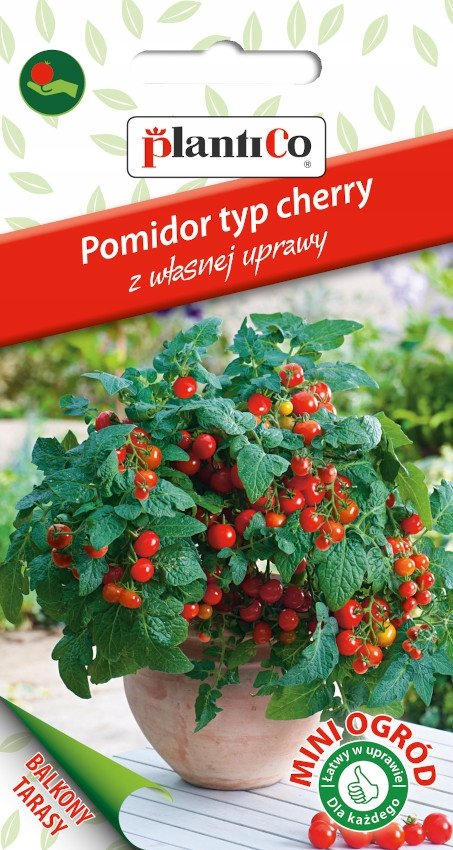 NASIONA Pomidor Koktajlowy Cherry Vilma 0,1g PLANTICO Do Sałatek 426504