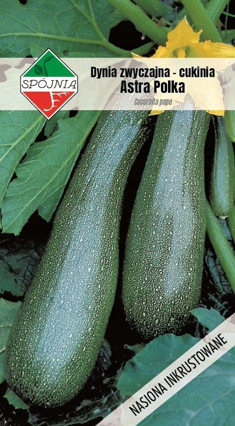 NASIONA Dynia Zwyczajna Cukinia Astra Polka 5g SPÓJNIA 400571