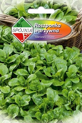 NASIONA Roszponka Warzywna 1g SPÓJNIA 324730