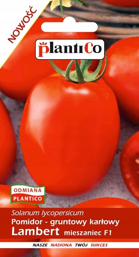 NASIONA Pomidor Gruntowy Karłowy Lambert Na Przeciery 0,5g PLANTICO 405554