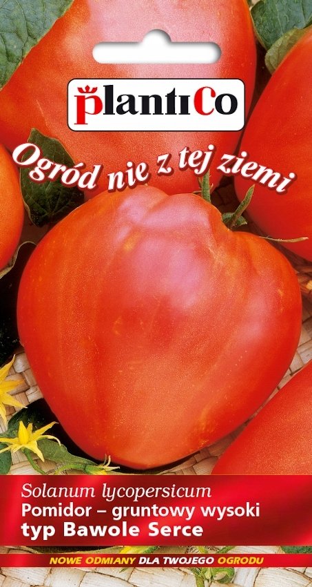 NASIONA Pomidor Gruntowy Wysoki Bawole Serce 0,2g PLANTICO 405660