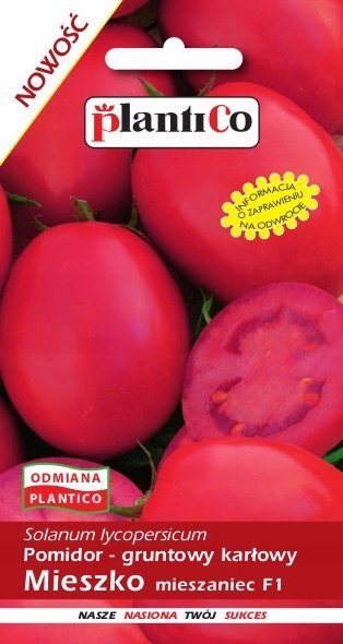 NASIONA Pomidor Gruntowy Karłowy Mieszko 0,5g PLANTICO 405523