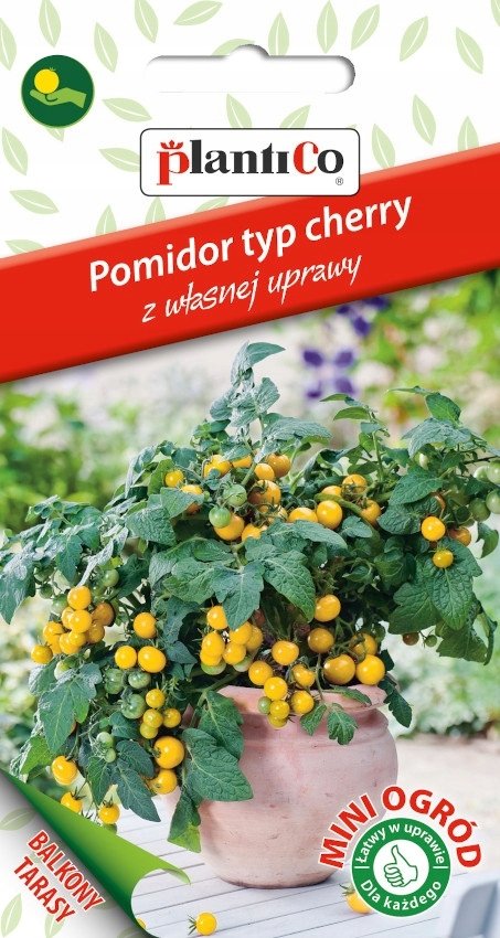 NASIONA Pomidor Koktajlowy Cherry Aztek 0,2g PLANTICO Do Sałatek 426511