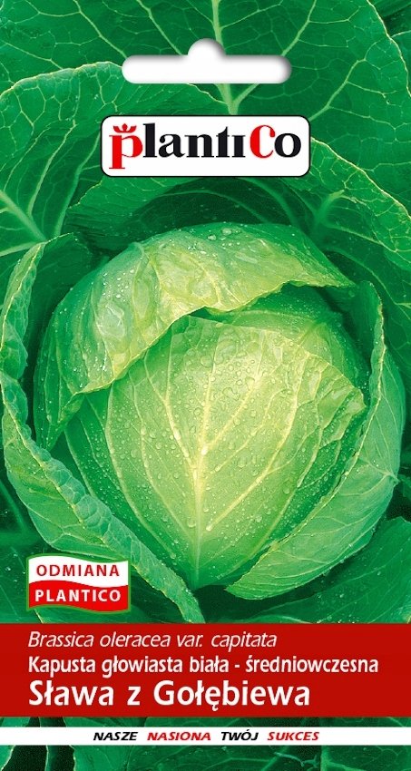 NASIONA Kapusta Głowiasta Biała Sława Z Gołębiewa 2g PLANTICO 402102