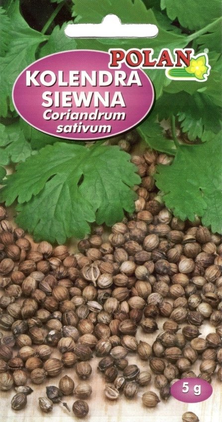 NASIONA Kolendra Siewna 5g POLAN Miododajna 114103