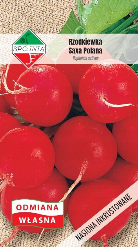 NASIONA Rzodkiewka Saxa Polana 5g SPÓJNIA 400755