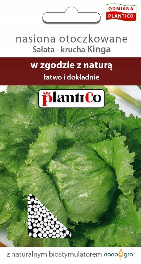 NASIONA Otoczkowane Sałata Krucha Kinga 1,54g 150 Nasion PLANTICO 424890