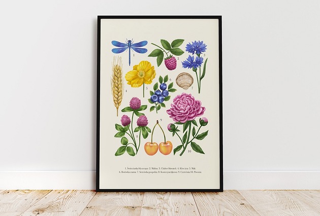 Plakat Lato 30x40cm