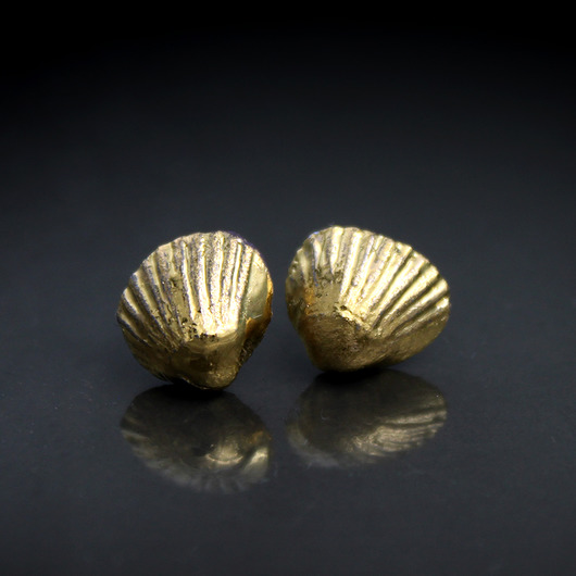 Shell/stal chirurgiczna/