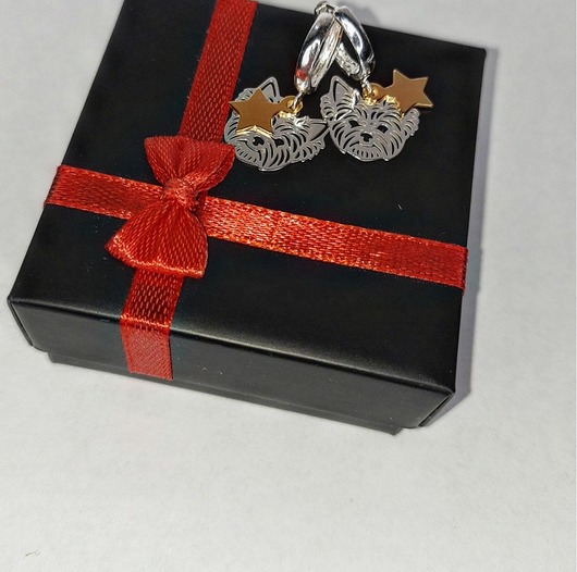 Kolczyki srebrne piesek z gwiazdką