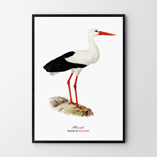 Plakat bocian