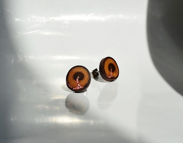 Kolczyki z drewna śliwy z jaspisem