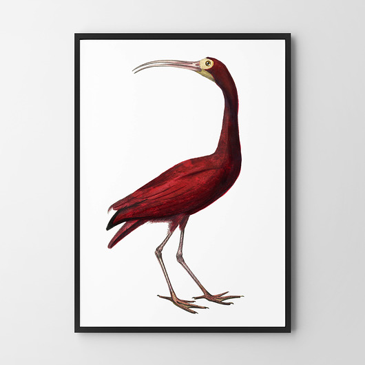 Plakat Ptak vintage różowy