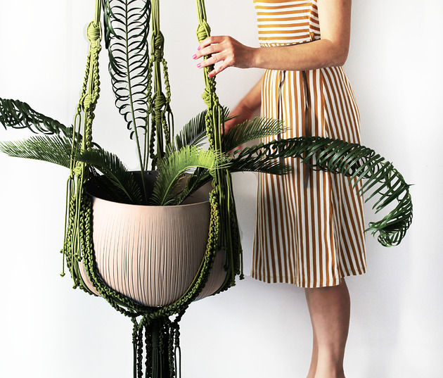 Ogromny kwietnik 'liana olive'