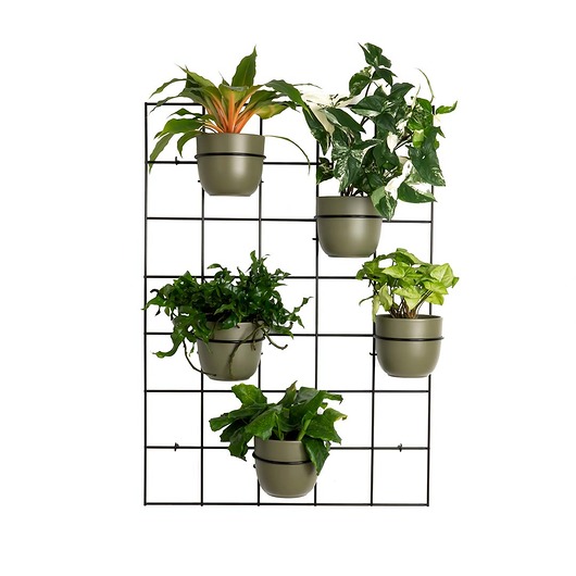 Kwietnik Hedera 2 - zestaw 2