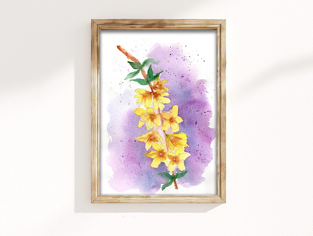 Oryginalna akwarela. Forsycja A4