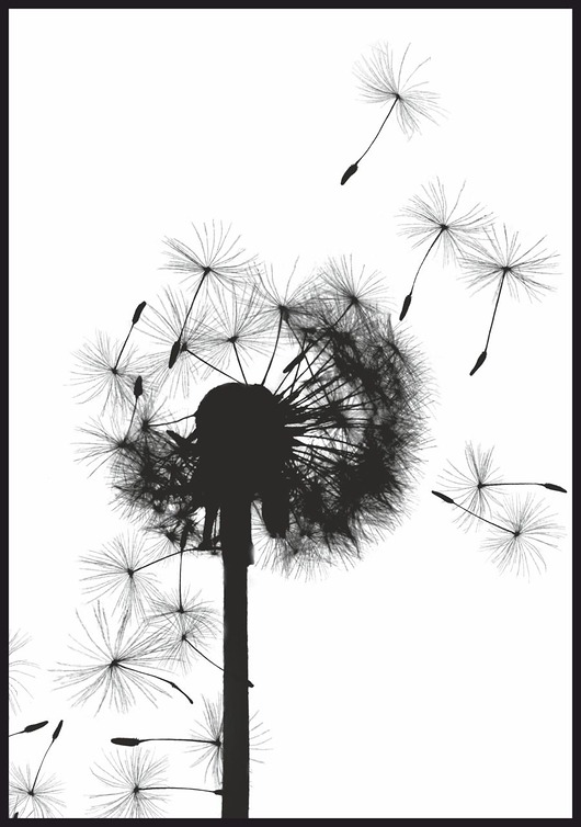 Plakat Nasiona dmuchawca