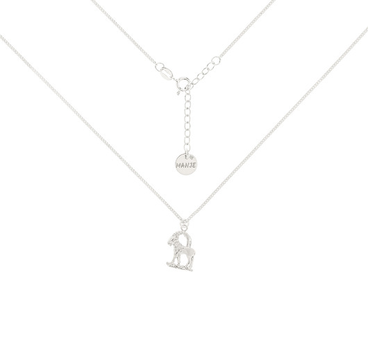 Srebrny choker pancerka ze znakiem zodiaku Koziorożec