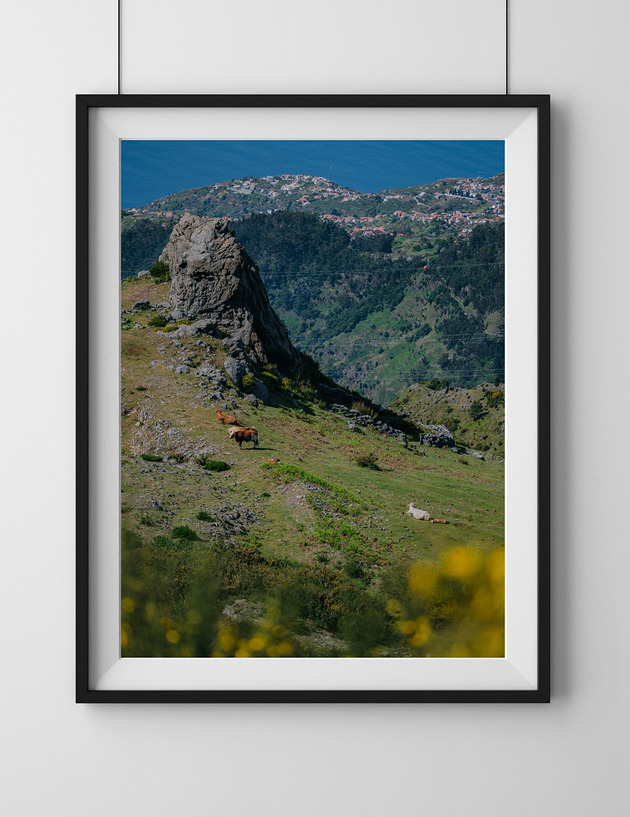 Maderskie krajobrazy, plakat, fotografia