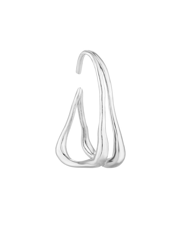 Srebrna duża nausznica