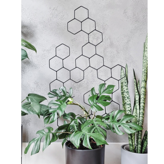 Duża podpora do wysokich, rozłożystych roślin Beehave (yourself)!