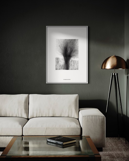 Wierzba 40x50 cm