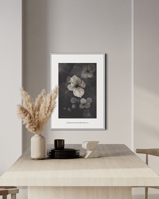 Hortensja, print { 50x70 cm }