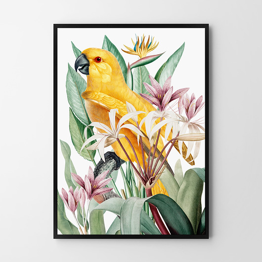 Plakat Papuga i kwiaty