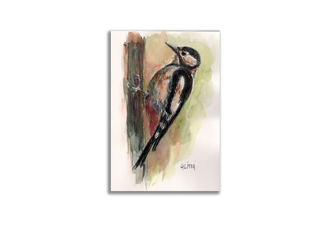 Akwarela ręcznie malowana Dzięcioł