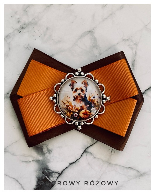 Brosze z Pieskiem rasy Yorkshire Nowość