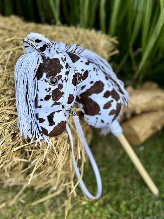 Hobby horse teksas, konik na patyku