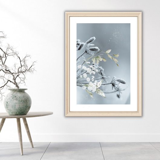 Plakat Frozen flowers