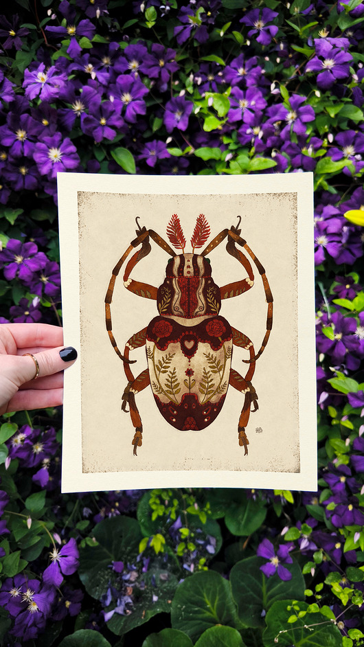 Żuk, plakat botaniczny, plakat boho, plakat żuk, plakat owady