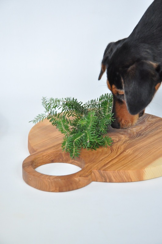 Decha kuchenna - jesionowe koło - 40 cm