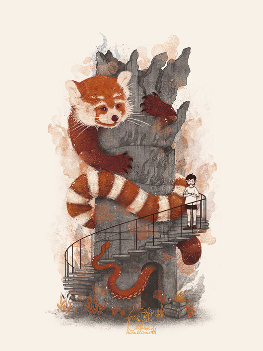 Plakat Red Panda