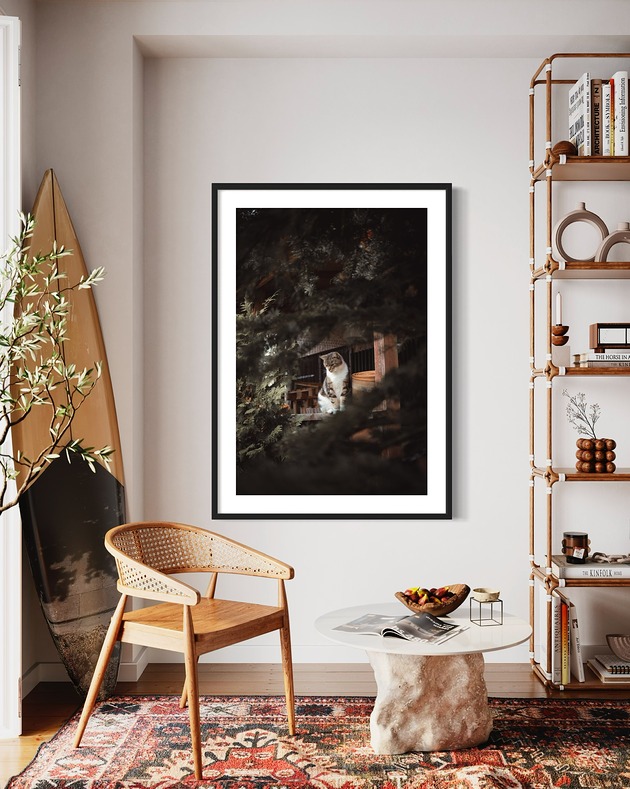Plakat Kicia Kocia
