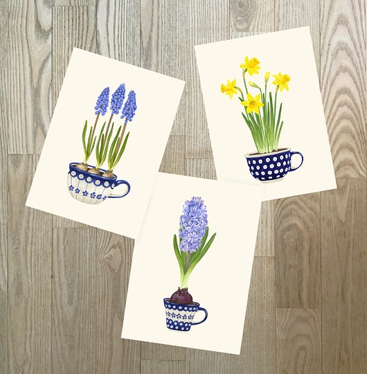 Plakat Zestaw Kwiaty cebulowe w filiżankach 30x40 cm