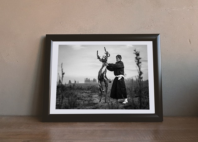 Fotografia kolekcjonerska_004