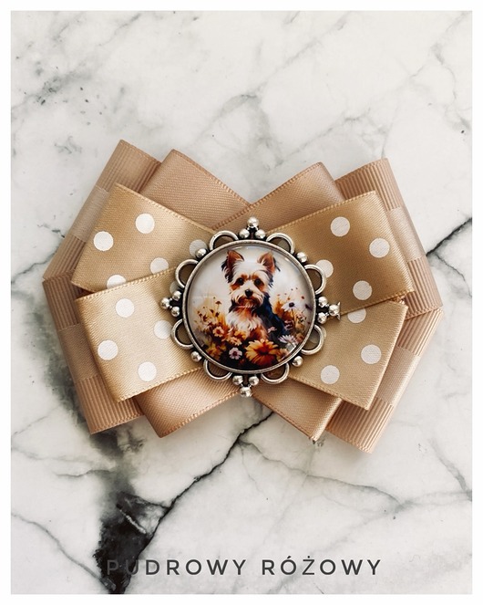 Brosze z Pieskiem rady Yorkshire Nowość