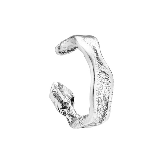 Srebrna nausznica RARE